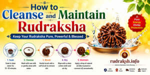 uploads/blog/31882478592796a06b01470e57cleanse rudraksha.png